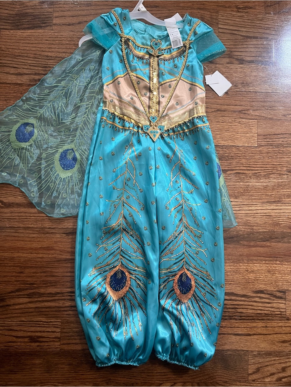 Disney Princess Jasmine Turquoise and Gold Peacock Princess Costume Aladdin